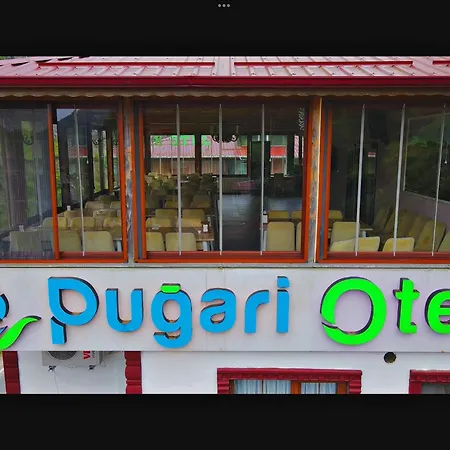 Pugari