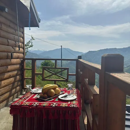 Pugari Hotel *