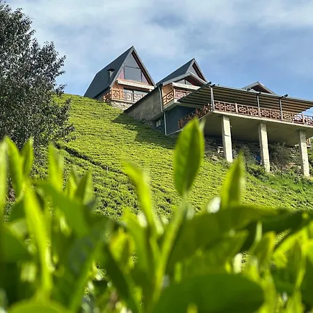 Pugari Hotel *